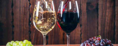 VINS